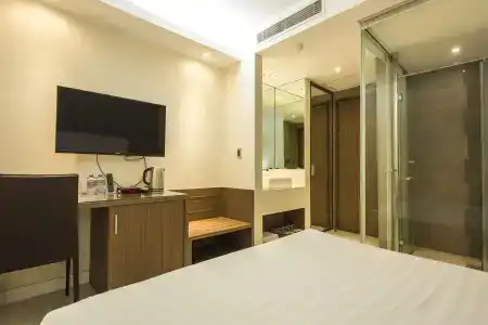 The Luxe - 19