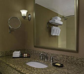 Sheraton Houston Brookhollow - 34