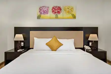 Golden Star - 49