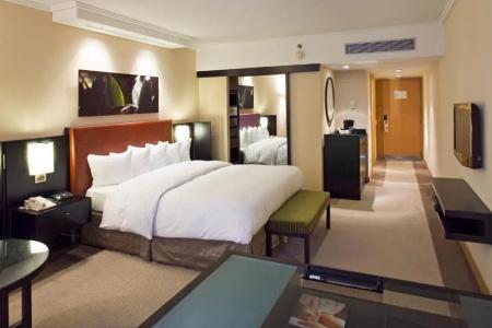 Hilton Buenos Aires - 54