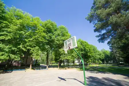 Неман 72 - 19