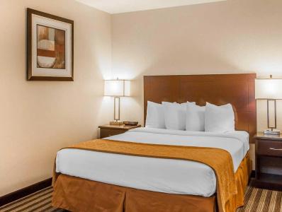 Quality Inn & Suites Vancouver - 36