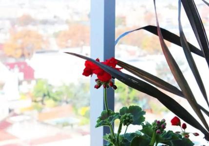 Boutique Devoto - 47
