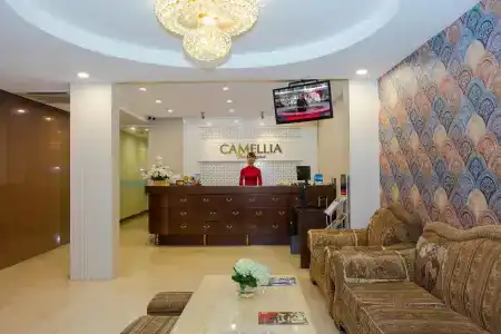 Camellia Boutique & Spa - 1