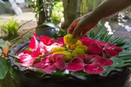 Samahita Retreat - 33