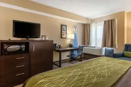 Comfort Inn 290/Nw - 33