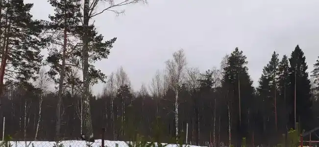 Эйфель - 12