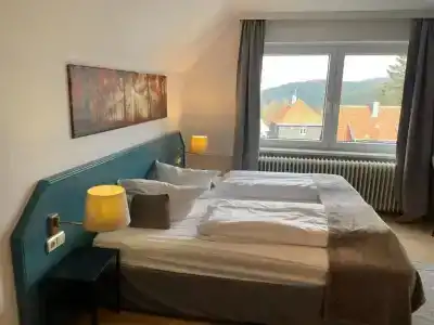 BergHahnenklee - 49
