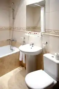 Lion Sofia - 20
