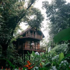 Our Jungle Camp - Eco Resort Sha Certified - 38