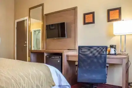 Comfort Inn Lucky Lane - 32