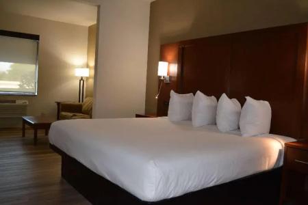 Microtel Inn & Suites by Wyndham College Station - 109