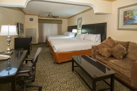 Holiday Inn Express & Suites Central - 43