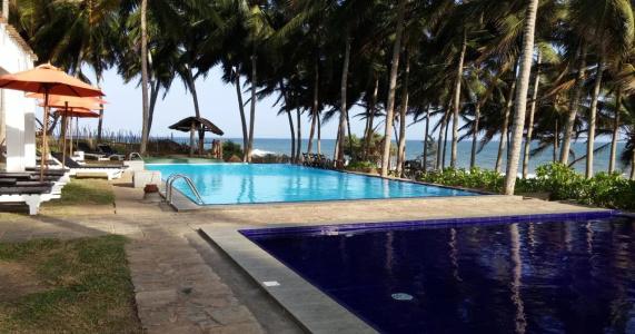 Turtle Bay - 9