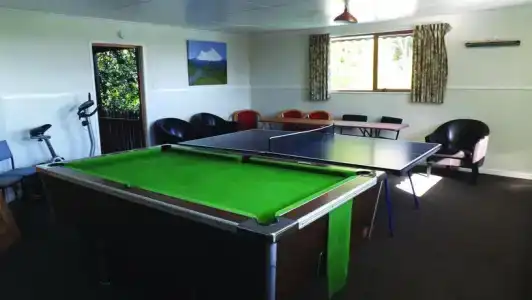 Flamingo - 16