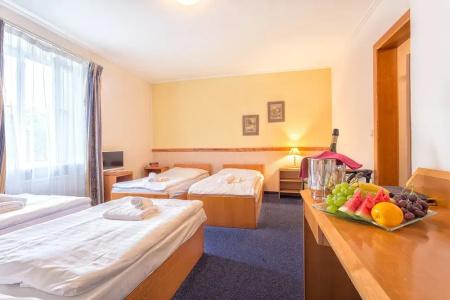 Prague Carl Inn restaurant & Free Parking - 2