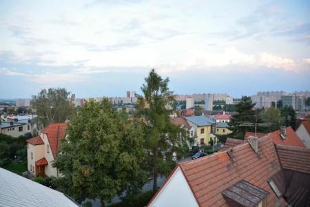 Wellness Vila Bohemia - 41