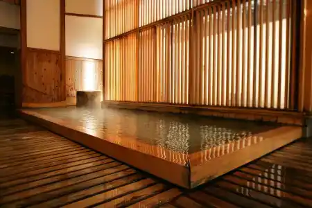 Ryokan Tanigawa - 5
