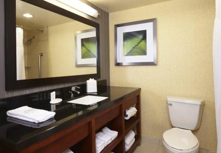 Courtyard by Marriott San Diego Mission Valley/Circle - 9
