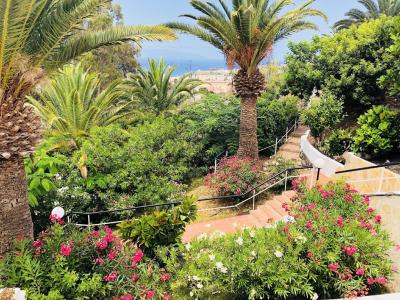 Regency Torviscas and Suites - 31
