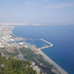 Kartal - 40