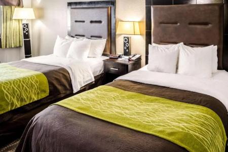 Comfort Inn Downtown Charleston - 45