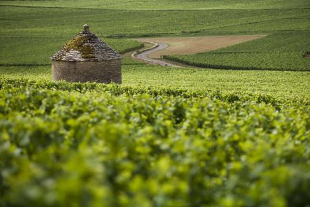 Kyriad Beaune - 18