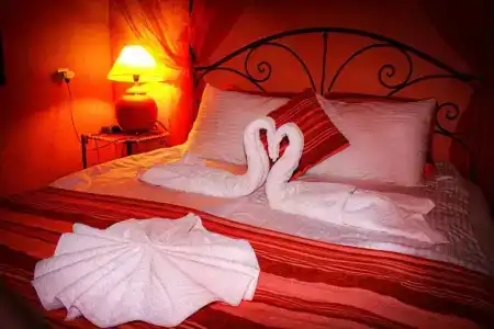 Riad Losra - 30