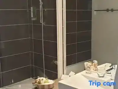 Best Western Alexander Park Chambéry - 46
