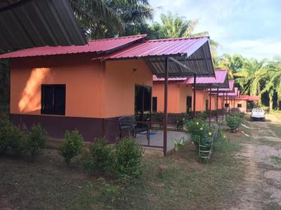 Khao Sok Evergreen House - 50