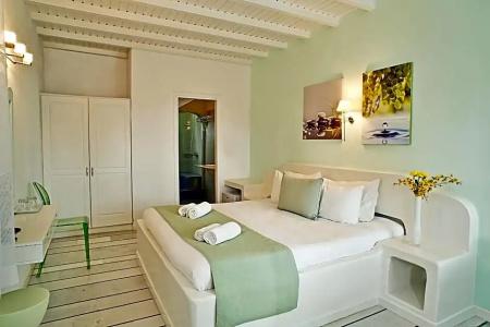 Anemoessa Boutique Mykonos - 66
