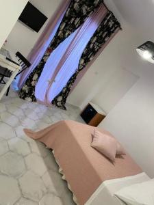Pharus miseni B&B - 55