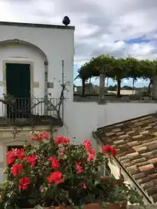 Corte dei Salentini - 0