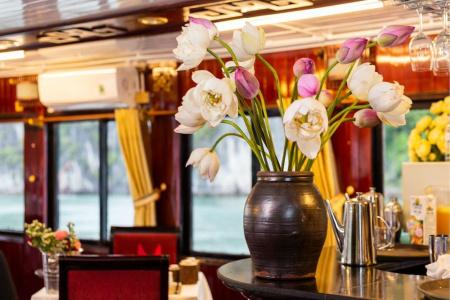 Swan Cruises Halong - 18