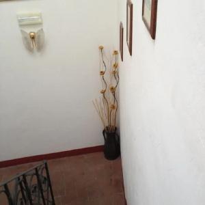 b&b Il Casale Di Nanni - 12