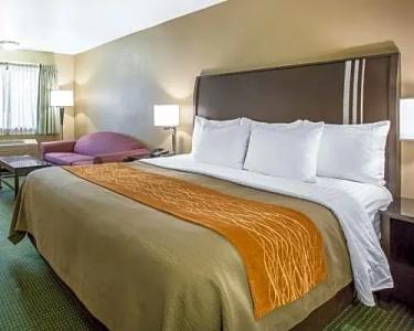 Comfort Inn Yosemite Area - 46