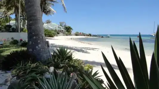 Colibri Beach Villas - 14