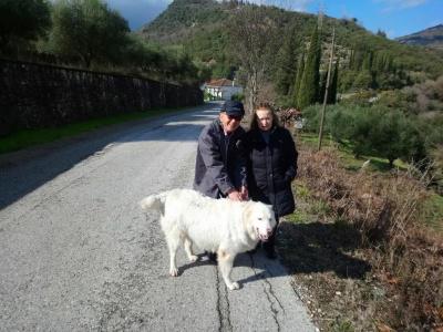 Evinos Village - 2