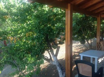 Petras Beach - 37