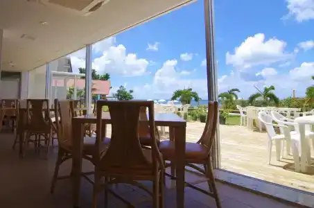 Beach Sunshine - 26