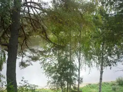 Жемчужина Сухоны - 5