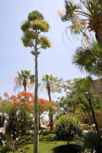 Jewels Sahara Boutique Resort - 51