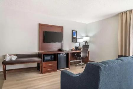Comfort Inn Charlotte Airport Uptown - 74