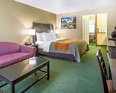 Comfort Inn Yosemite Area - 44