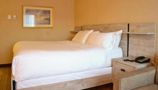 Holiday Inn Macleod Trail South - 33