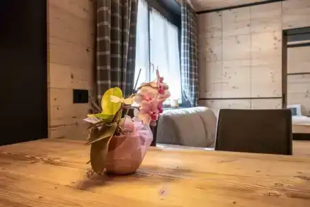 Residence Salvan - 83