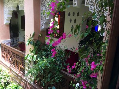 Riad Toyour- Riad of birds - 29