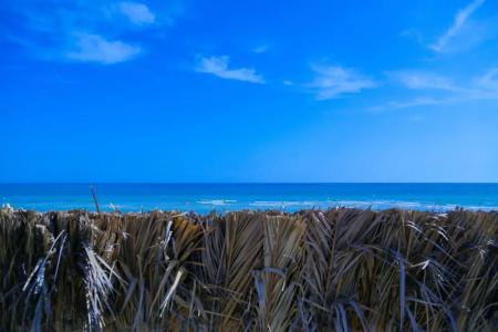 Al Jazira Beach - 29