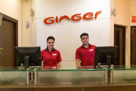 Ginger Jaipur - 27