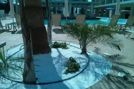 Nelia Gardens - 11
